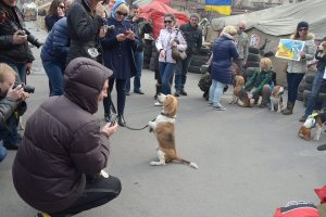 image 1614546_466977670096827_1197560305_o-jpg