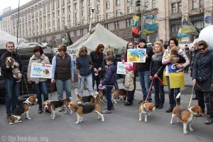 Бигли в Украине за Мир