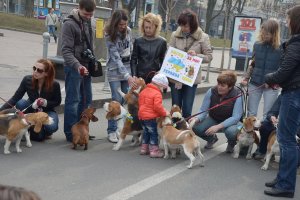 Бигли в Украине за Мир