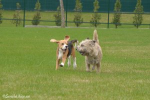 image dsc_0340-jpg