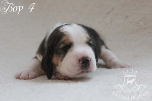 image boy4_14days-jpg