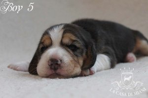 image boy5_14days-jpg