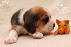 image girl1_22days-jpg