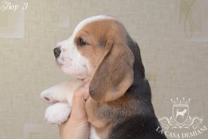 image boy-3_2-jpg