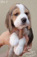 image boy-4_1-jpg