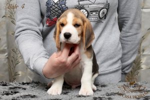 image male4_3-jpg
