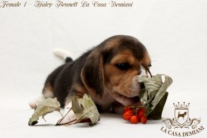 image female1_1-jpg