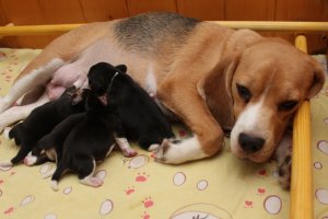 image 00-jpg
