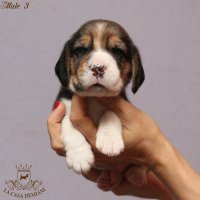 image male3_1-jpg