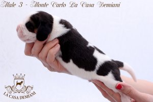 image male3-2-jpg