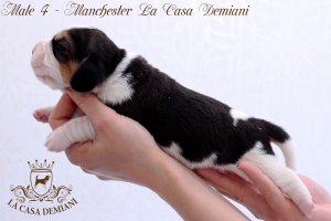 image male4-2-jpg