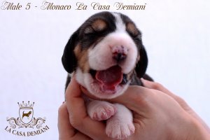 image male5-0-jpg
