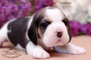 image male3-2-jpg