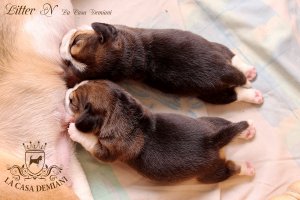 image 02-jpg