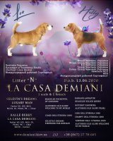 image lacasademiani-jpg