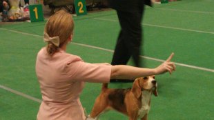 image 11009836_924916754205398_1785682013_o-jpg
