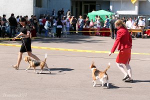 image 11-jpg