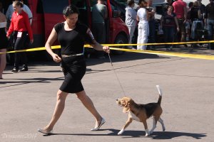 image 12-jpg