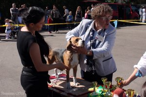 image 14-jpg