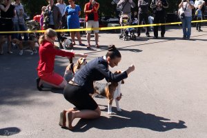 image 18-jpg