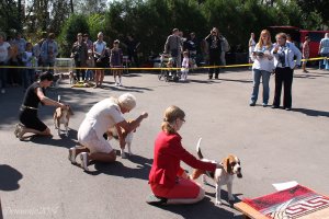 image 36-jpg