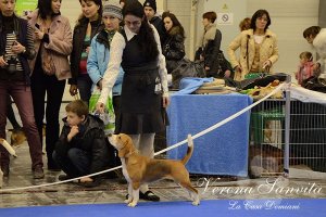 Хрустальный кубок 2011