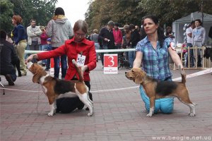 Киевские Встречи - 2014