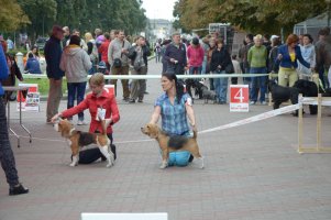 image dsc_0471-jpg
