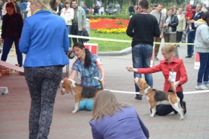 image dsc_0472-jpg