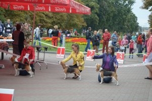image dsc_0503-jpg