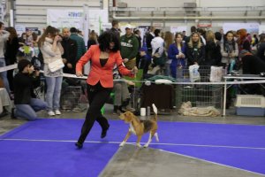 image 11146405_809844552442607_8286229749819450635_o-jpg