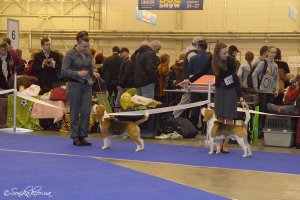 image dsc_0420-jpg