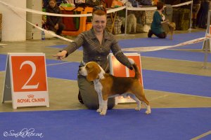 FCI-CACIB «Золотые Ворота-2015»