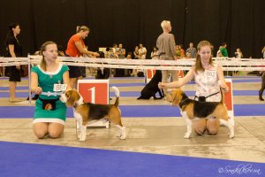 image dsc_0980-jpg