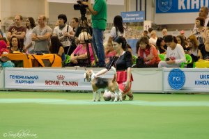 image dsc_1302-jpg