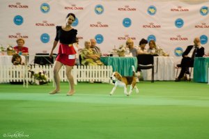 image dsc_1305-jpg