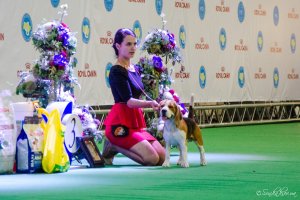 FCI-CACIB «СОФИЯ КИЕВСКАЯ – 2015″