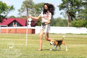 image sumy_cacib_-094-jpg