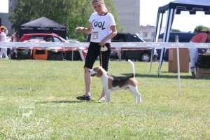 image sumy_cacib_-099-jpg