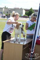 image sumy_cacib_-105-jpg
