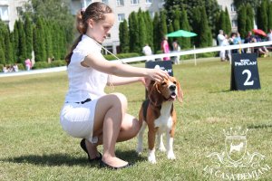 image sumy_cacib_-133-jpg