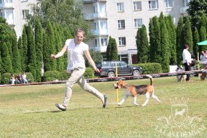 image sumy_cacib_-140-jpg