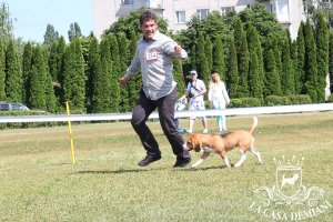 image sumy_cacib_-169-jpg
