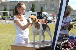 image sumy_cacib_-177-jpg
