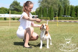 image sumy_cacib_-184-jpg