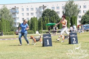 CACIB Сумы, 29.06.2014 г