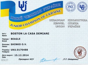 Юный Чемпион Украины